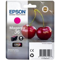 Epson 36 Ink cartridge (Magenta)